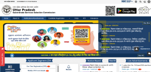 UPSSSC PET Online Form 2026